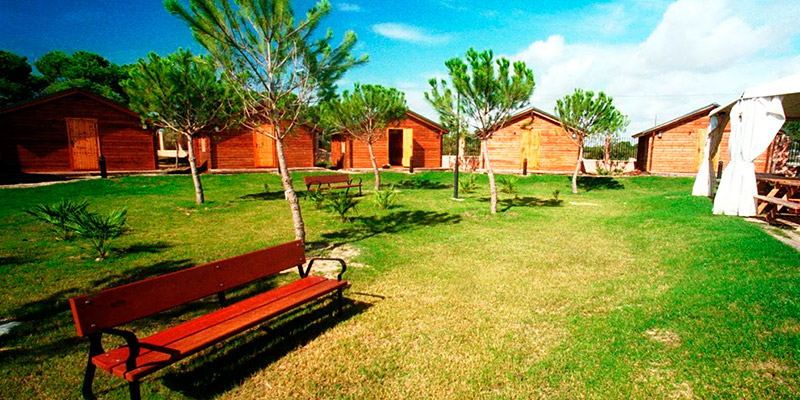 Campamentos de inglés en verano para niños y jóvenes en Cádiz