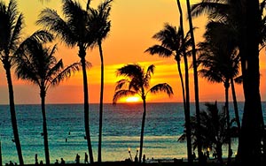 oferta cursos ingles hawai