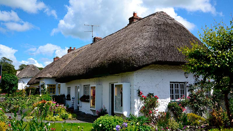 Inmersión en familias para jóvenes en Irlanda