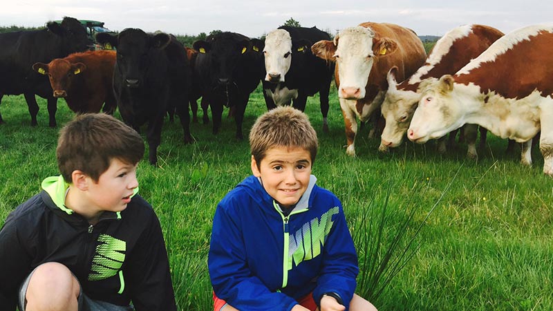 Inmersión en familias para jóvenes en Irlanda